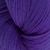 Purple Hyacinth (5625)