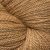 #2024 Tumbleweed
