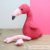 Chris Flamingo