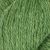 37 Fern