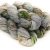 Spring Sprouts
